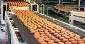 A bakery line in a factory